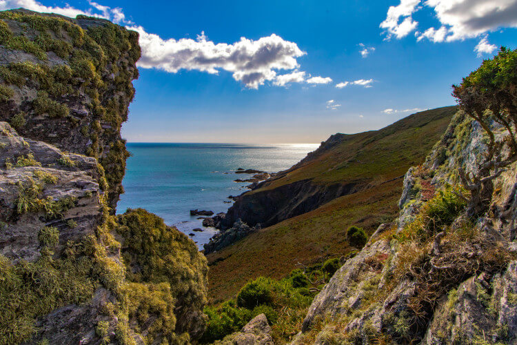 Devon coastal view